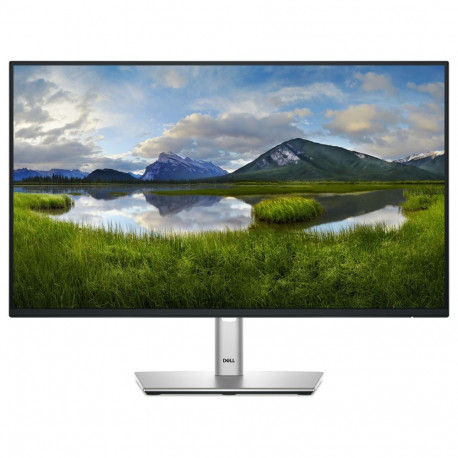 "60,47cm/23,8"" (1920x1080) Dell P2425H 16:9 FHD IPS 5ms 100Hz HDMI DP VGA USB-C Black/Silver"