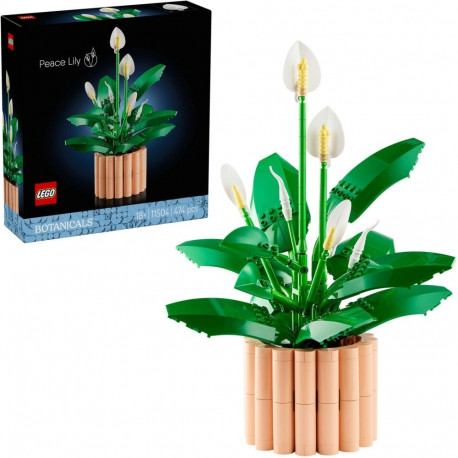 Botanicals rahulill 11504