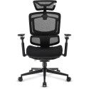 Sharkoon OfficePal C50 office chair, black