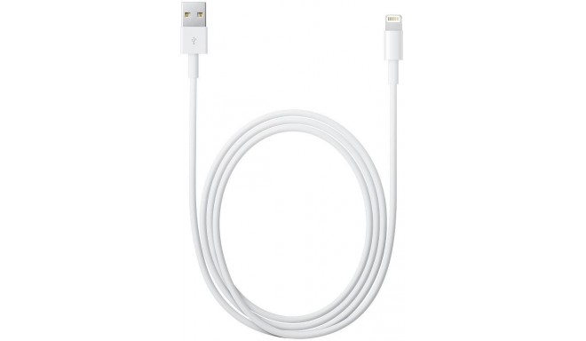 Apple kabelis Lightning - USB 2m