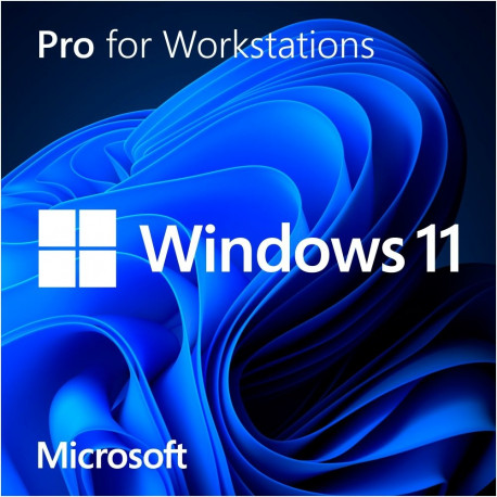 Windows 11 Pro for Workstations (64-Bit, Deutsch, DVD-ROM)