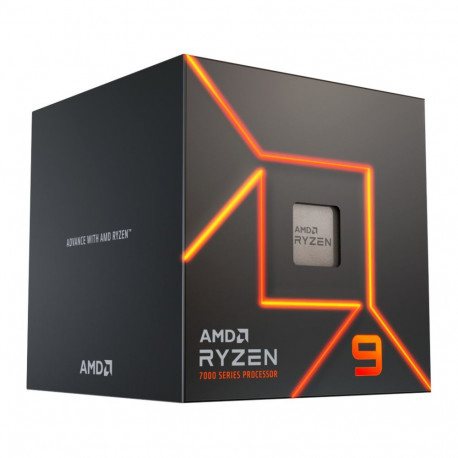Ryzen™ protsessor 9 7900 karbiversioon