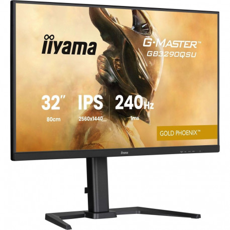 G-Master monitor GB3290QSU-B1 Gold-Phoenix 80cm (31.5Zoll) QHD, IPS, Free-Sync-Premium, 240Hz paneel