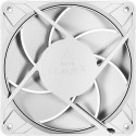 ARCTIC P12 Pro PST, case fan white, 120 mm