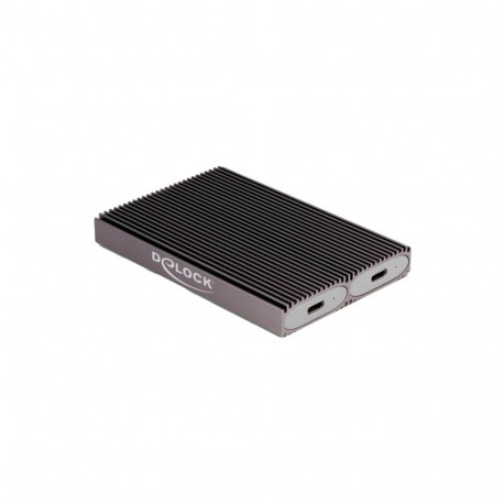 DeLOCK External USB Type-C Dual Combo Enclosure for 2 x M.2 N, Drive Enclosure grey