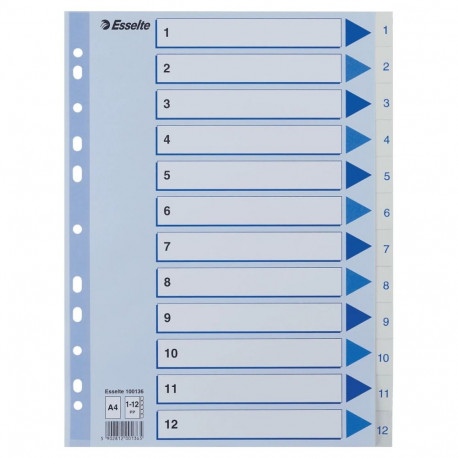 Registrilehed 1-12 plastik, valge, Esselte