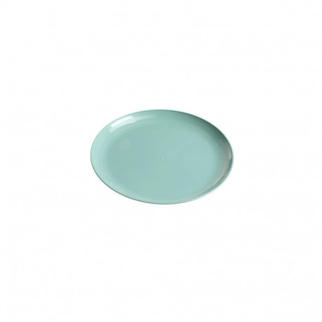 SHALLOW BIG PLASTIC PLATE. GREEN