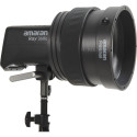 Amaran Fresnel for Ray