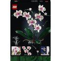 LEGO Botanical Collection Orhidee