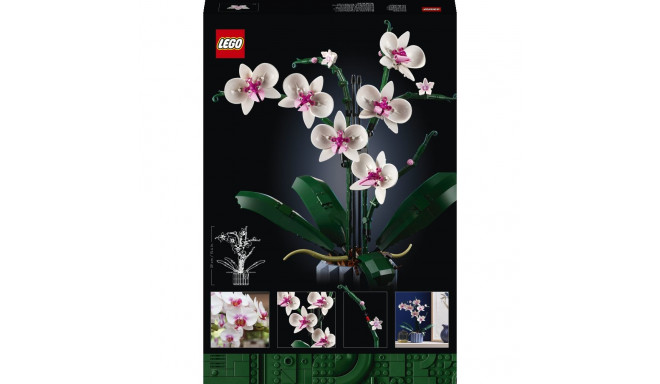 LEGO Botanical Collection Orhidee