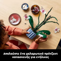 LEGO Botanical Collection Orhidee