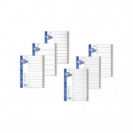 Vahelehed Forpus A4 plast Jaan-Dets