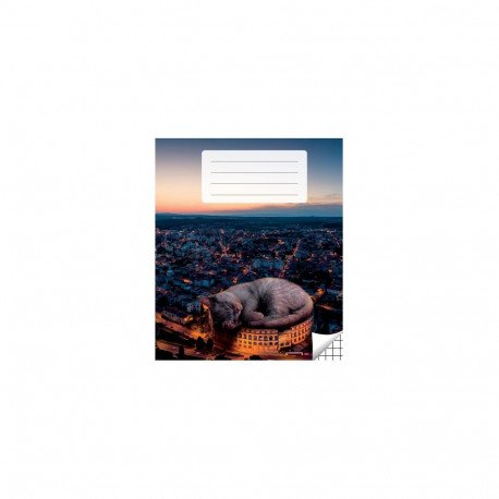 Kaustik 36 lehte, ruuduline (5 tk)