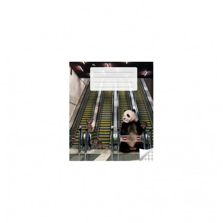 Kaustik 36 lehte,  ruuduline (5 tk)