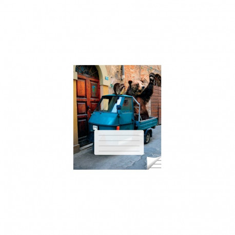 Kaustik 36 lehte, jooneline (5 tk)