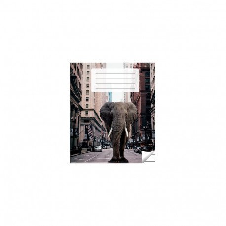 Kaustik 36 lehte, jooneline (5 tk)