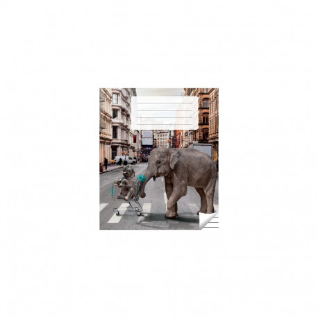 Kaustik 36 lehte, jooneline (5 tk)