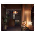 Philips Hue W 1600 A67 1P EU | E27 | 13.5 W | Soft white light | Bluetooth and Zigbee
