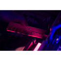 Memory DDR5 CUDIMM 32GB(2*16) 6400 CL52