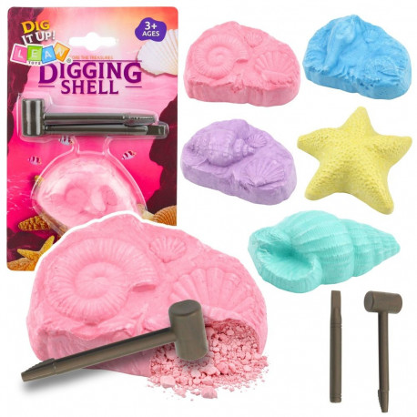 merekivististe arheoloogiline komplekt merekarbid tööriistad