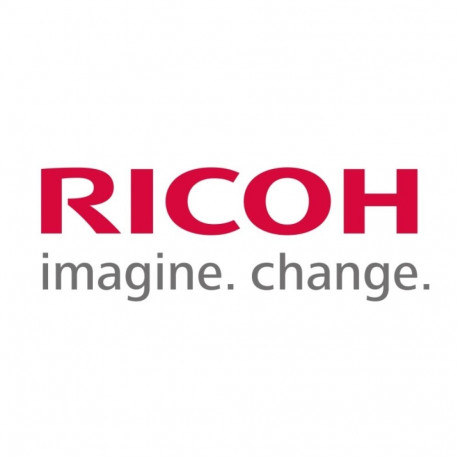 Ricoh D074-6446 (D0746446) Belt Cleaning Apply Brush