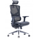 Sihoo office chair M90C, black