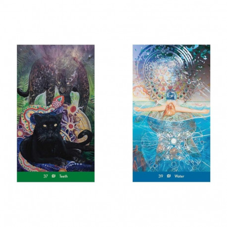 Oracle Cards - Dream Wisdom Oracle Cards (Destiny Books, 46 cards, guidebook)