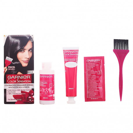 Garnier juuksevärv Color Sensation #1 110g, must