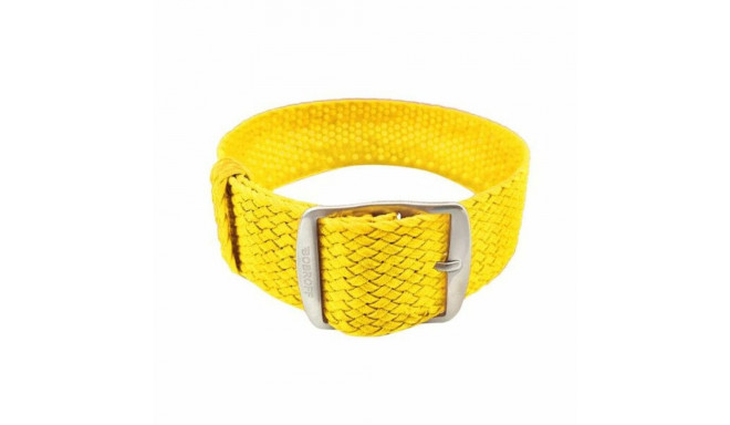 Kellarihm Bobroff BFS007