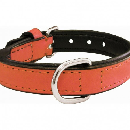 Dog collar Gloria Padded Coral (55 x 2,5 cm)