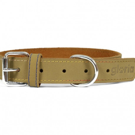 Koera kaelarihm Gloria Oasis Roheline (65 x 3 cm)