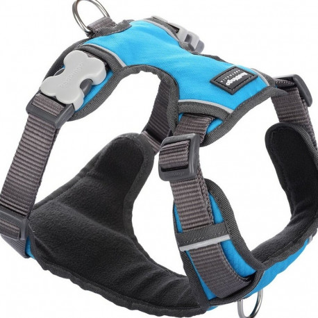 Dog Harness Red Dingo Padded Turquoise XS size