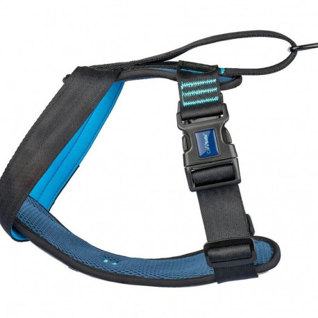 Dog Harness Company of Animals Carsafe Crash Tested Blue 34 cm Travel XS