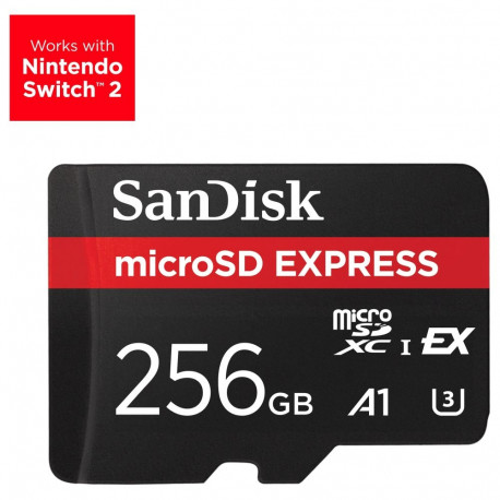 "CARD Express Micro 256GB"
