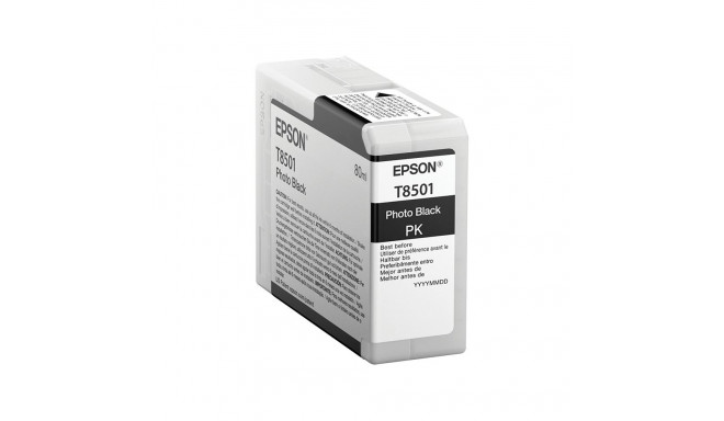 Epson C13T850100 fotomust