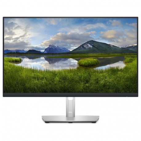"60,45cm/23,8'' (2560x1440) DELL-P2423D 16:9 8ms IPS DisplayPort HDMI USB VESA Pivot Black/Silver"