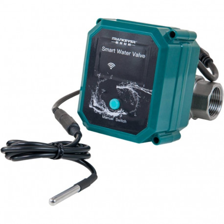 FrankEver smartes Wasserventil DN25, 1" (grün)