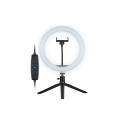 Tracer 46747 LED Ring Lamp 26cm