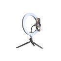 Tracer 46747 LED Ring Lamp 26cm