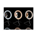 Tracer 46747 LED Ring Lamp 26cm