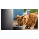 Philips Smart Feeder with Camera | PAW5320/02 5000 Series