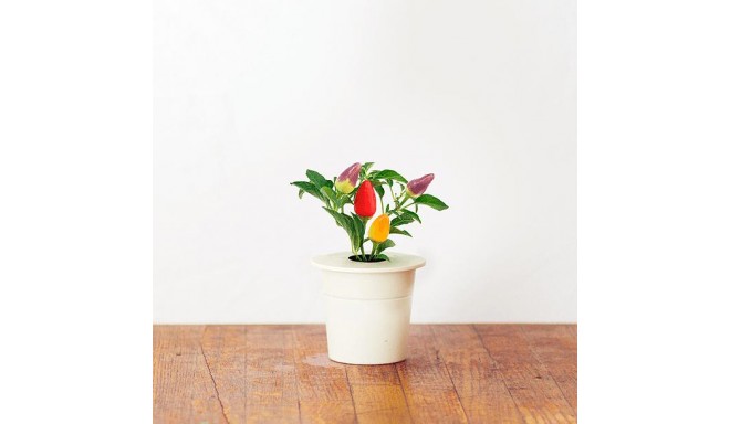 Click & Grow Smart Herb Garden refill Tšillipipar