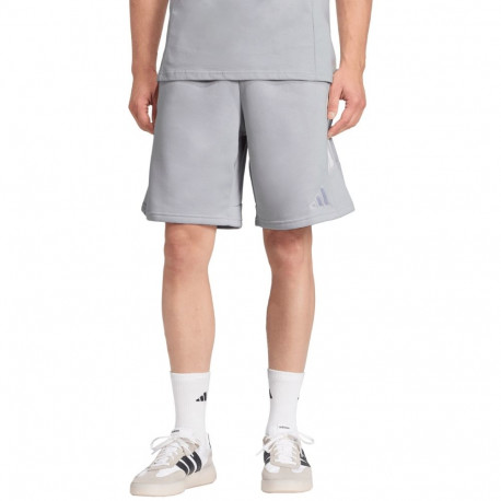 adidas meeste lühikesed püksid Tiro 26 League Sweat JY9669 2XL, hall