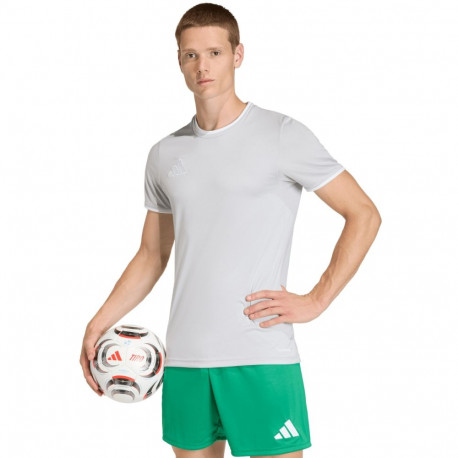 Adidas meeste särk Entrada 26 Jersey JZ2511 M, helehall