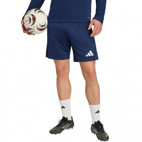 adidas meeste lühikesed püksid Entrada 26 Training JZ6557 L, tumesinine