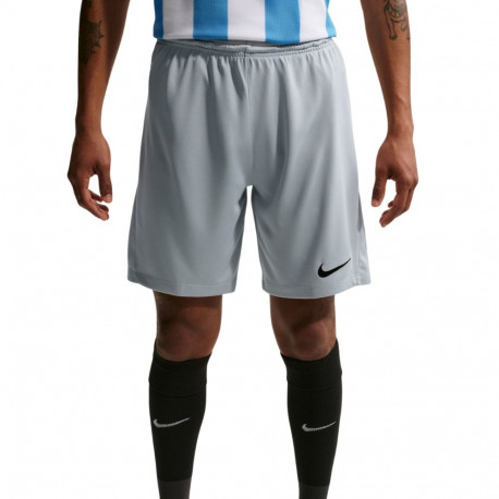 Nike meeste lühikesed püksid Dry Park III NB K BV6855 012 S, helehall