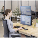Fellowes Platinum Series vertical double arm