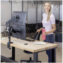 Fellowes Platinum Series vertical double arm