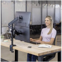 Fellowes Platinum Series vertical double arm