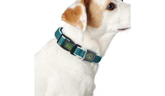 Dog collar Hunter Basic Thread Blue 20